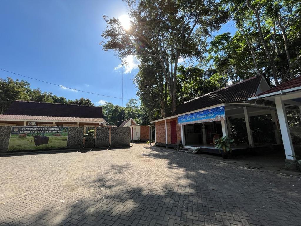 Capital O 92612 Penginapan D'Alas Purwo & Beachnearpadang Savana Sadengan Banyuwangi  Zewnętrze zdjęcie