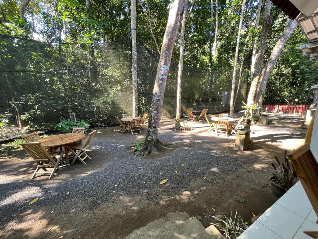 Capital O 92612 Penginapan D'Alas Purwo & Beachnearpadang Savana Sadengan Banyuwangi  Zewnętrze zdjęcie